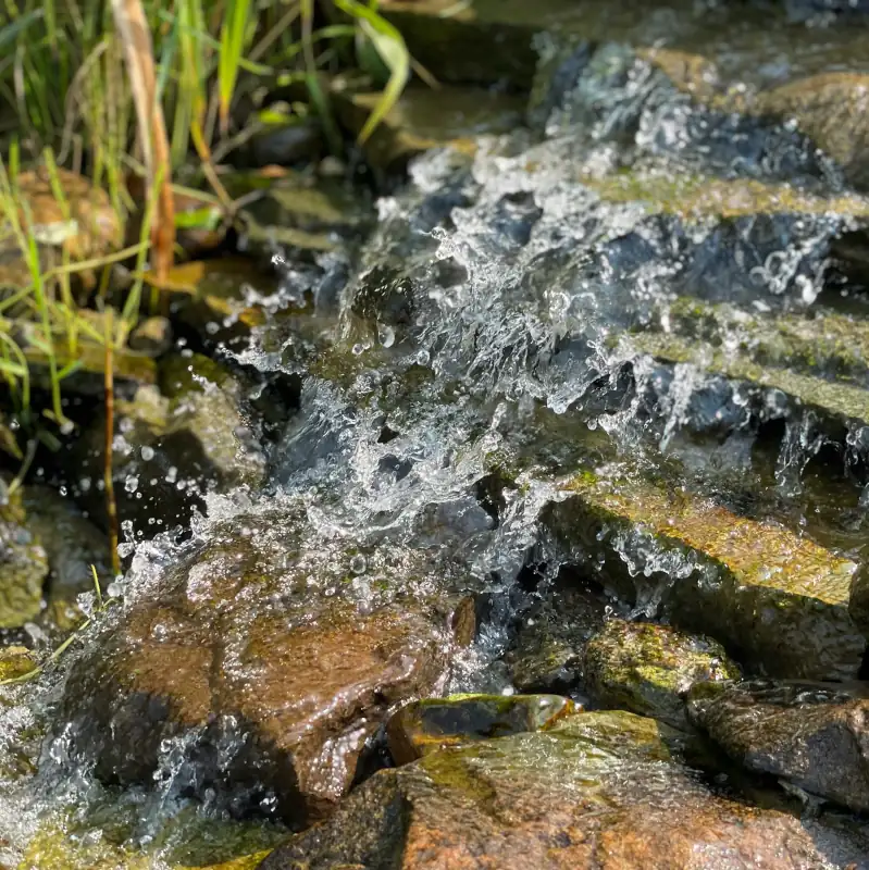 Pure Water and Nature